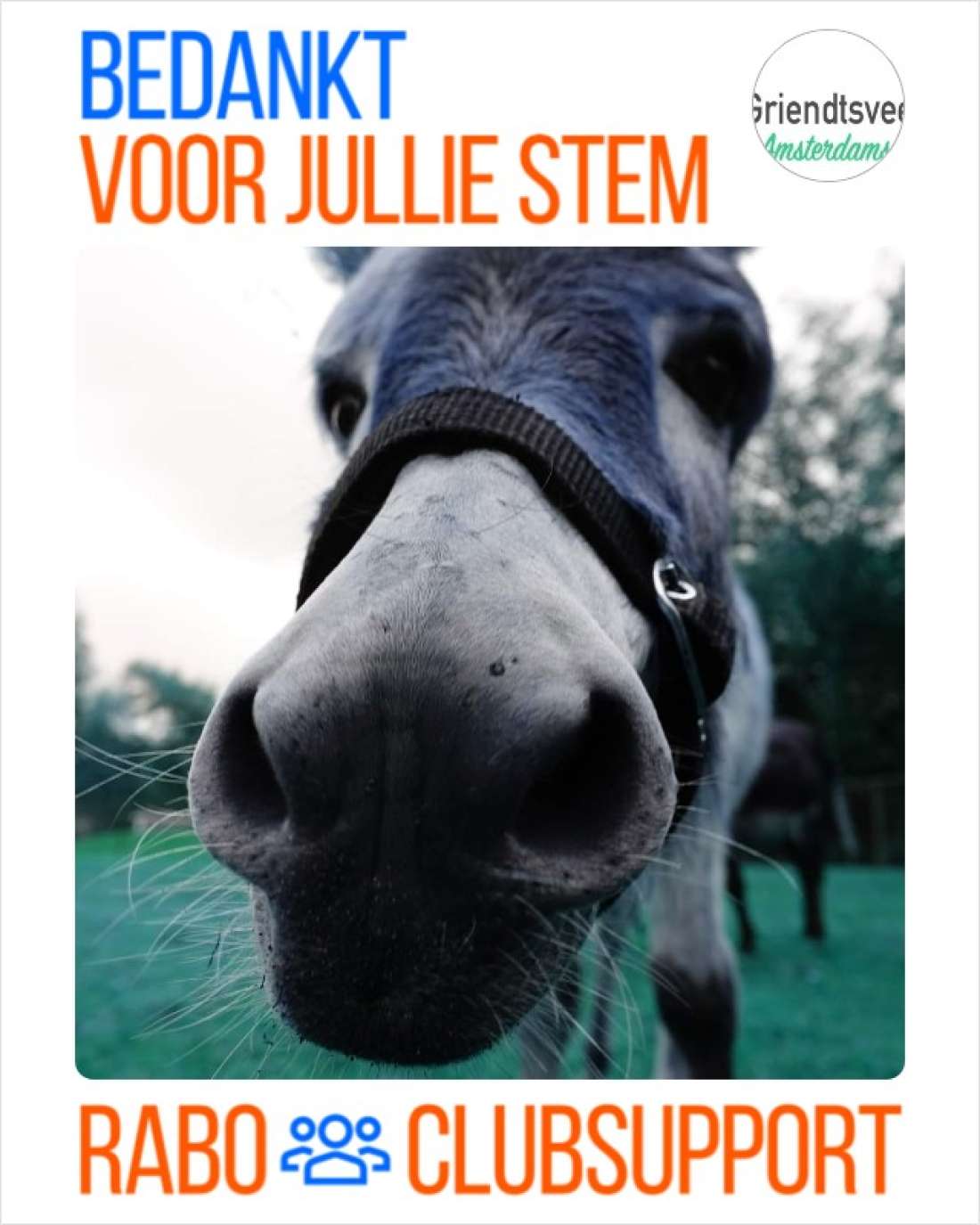 Rabo Clubsupport